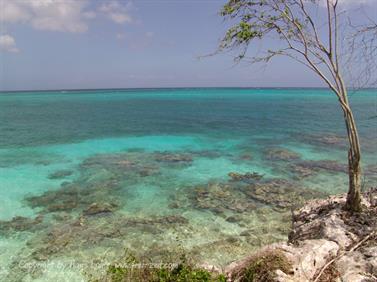 2010 Cuba, Holguin, Hotel Rio de Oro, Paradisus, DSC00091b_B740